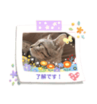 よつよつよつば2（個別スタンプ：2）