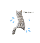 よつよつよつば2（個別スタンプ：4）