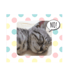 よつよつよつば2（個別スタンプ：5）