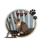 よつよつよつば2（個別スタンプ：7）