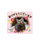 よつよつよつば2（個別スタンプ：10）