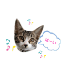よつよつよつば2（個別スタンプ：14）