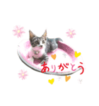 よつよつよつば2（個別スタンプ：15）