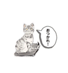 よつよつよつば2（個別スタンプ：16）