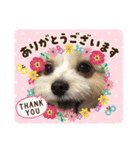 おいら“こつぶ”（個別スタンプ：3）