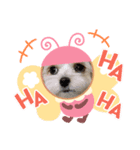 おいら“こつぶ”（個別スタンプ：5）