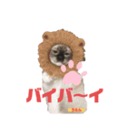 かわいすぎるにゃんたち ①（個別スタンプ：5）