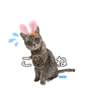 かわいすぎるにゃんたち ①（個別スタンプ：9）