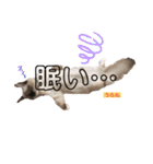 かわいすぎるにゃんたち ①（個別スタンプ：18）