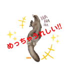 かわいすぎるにゃんたち ①（個別スタンプ：30）