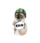 かわいすぎるにゃんたち ①（個別スタンプ：32）