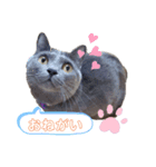おてんば！ひなちゃん（個別スタンプ：2）