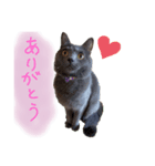 おてんば！ひなちゃん（個別スタンプ：4）