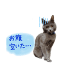 おてんば！ひなちゃん（個別スタンプ：7）