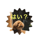 ゆめちゃんの便利スタンプ（個別スタンプ：3）