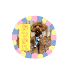 ゆめちゃんの便利スタンプ（個別スタンプ：19）