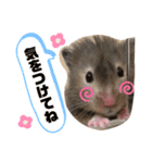 ハムスタンプ（ぽも）（個別スタンプ：9）