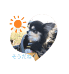 しんちゃん特集2！！！（個別スタンプ：1）