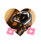 しんちゃん特集2！！！（個別スタンプ：2）