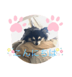 しんちゃん特集2！！！（個別スタンプ：4）
