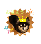 しんちゃん特集2！！！（個別スタンプ：5）