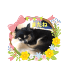 しんちゃん特集2！！！（個別スタンプ：8）