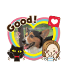 嬉しいコーギー（個別スタンプ：5）