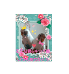 るるな君＆キウイ姫仲良し夫婦（個別スタンプ：2）