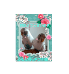 るるな君＆キウイ姫仲良し夫婦（個別スタンプ：5）