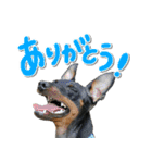ミニピンそらっくりん（個別スタンプ：1）