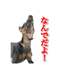 ミニピンそらっくりん（個別スタンプ：4）