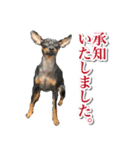 ミニピンそらっくりん（個別スタンプ：9）