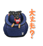 ミニピンそらっくりん（個別スタンプ：10）