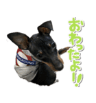 ミニピンそらっくりん（個別スタンプ：11）