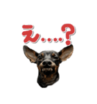 ミニピンそらっくりん（個別スタンプ：12）
