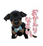 ミニピンそらっくりん（個別スタンプ：13）