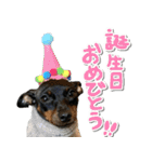 ミニピンそらっくりん（個別スタンプ：15）