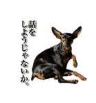 ミニピンそらっくりん（個別スタンプ：16）