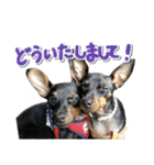 ミニピンそらっくりん（個別スタンプ：21）