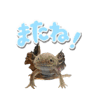ミニピンそらっくりん（個別スタンプ：22）