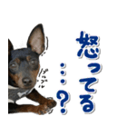 ミニピンそらっくりん（個別スタンプ：28）