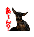 ミニピンそらっくりん（個別スタンプ：35）