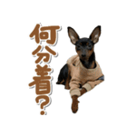 ミニピンそらっくりん（個別スタンプ：38）