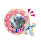 ☆にゃんこファミリー☆（個別スタンプ：24）