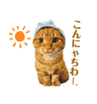 つつじ♡（個別スタンプ：1）