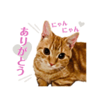 つつじ♡（個別スタンプ：14）