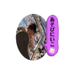 高井戸家族スタンプ（個別スタンプ：14）