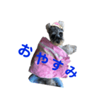 サン吉（個別スタンプ：10）