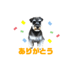 サン吉（個別スタンプ：14）
