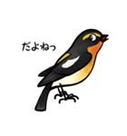 トリStamp●なつの鳥（個別スタンプ：3）